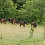 Alloggio per agriturismo Le Querciole *