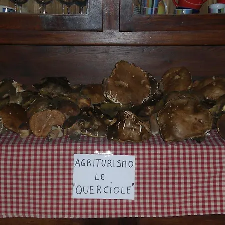 Le Querciole