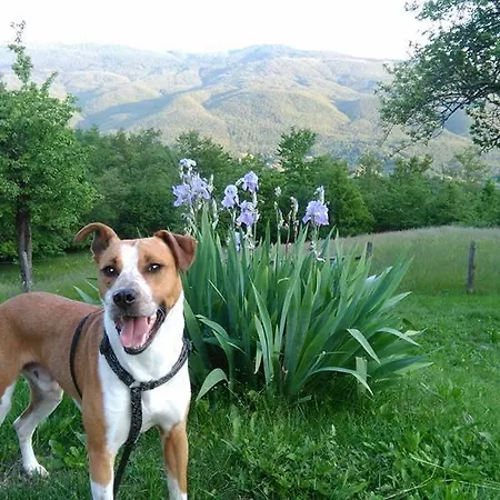 Κατάλυμα σε φάρμα Le Querciole Borgo Val di Taro