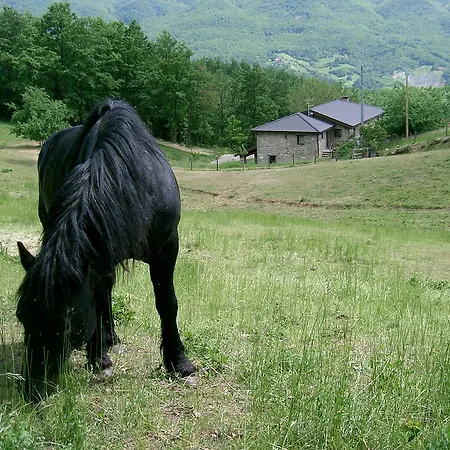 Le Querciole Alloggio per agriturismo