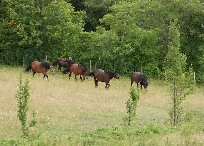 팜스테이 Le Querciole *