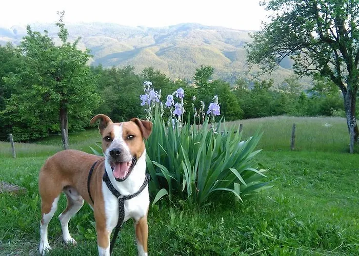 Lantgård Le Querciole Borgo Val di Taro
