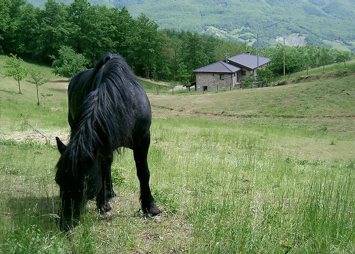 Le Querciole 팜스테이